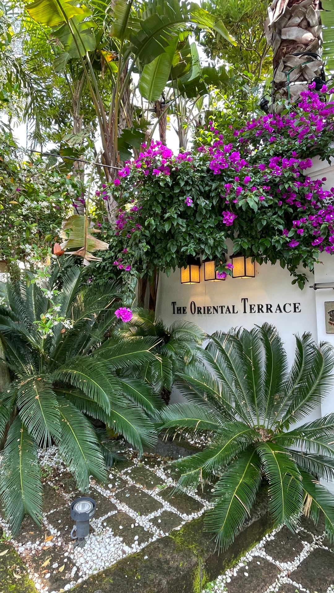 THE ORIENTAL TERRACE 玄関