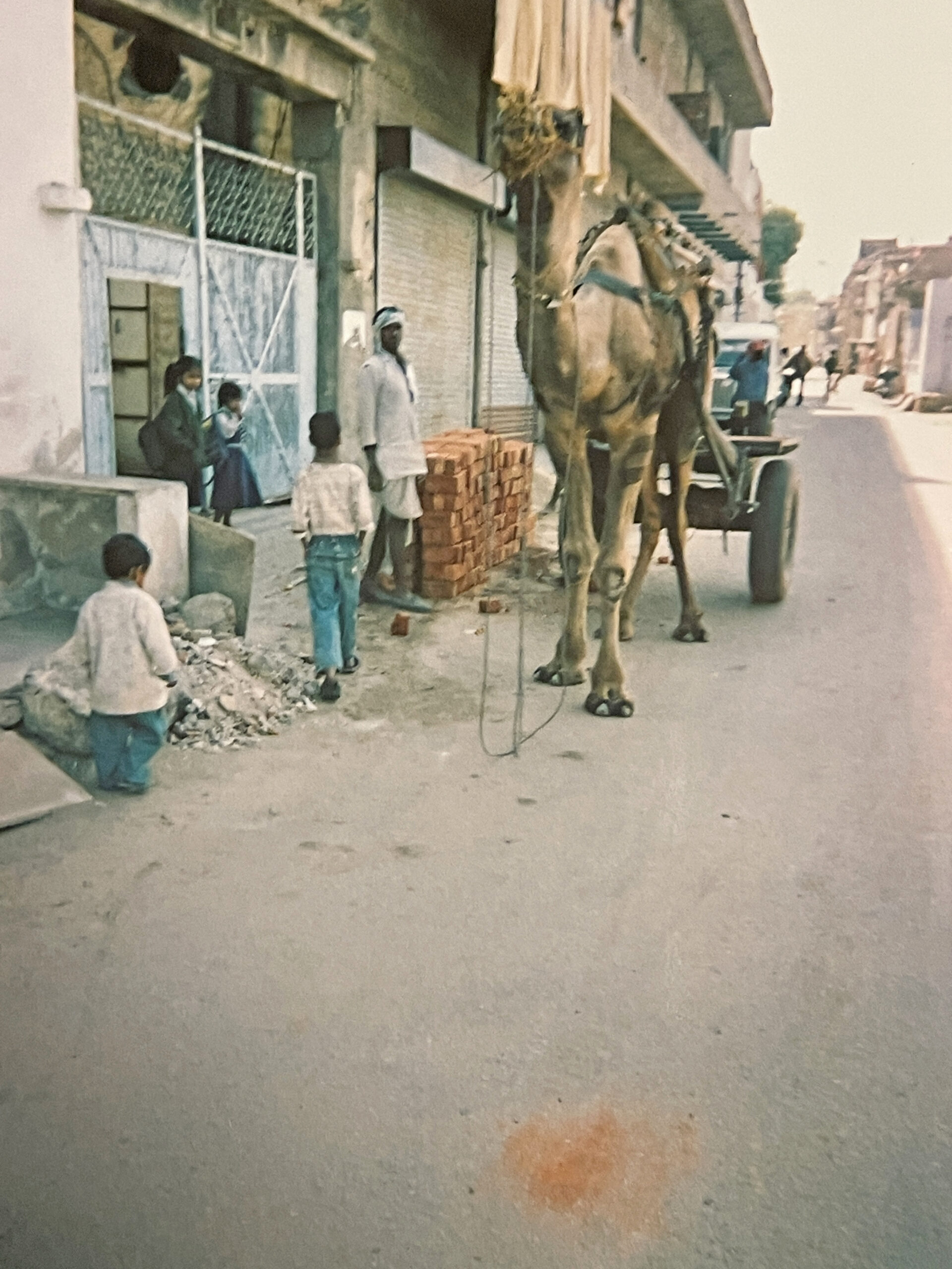 腰痛に悩んでいた時期の思い出写真