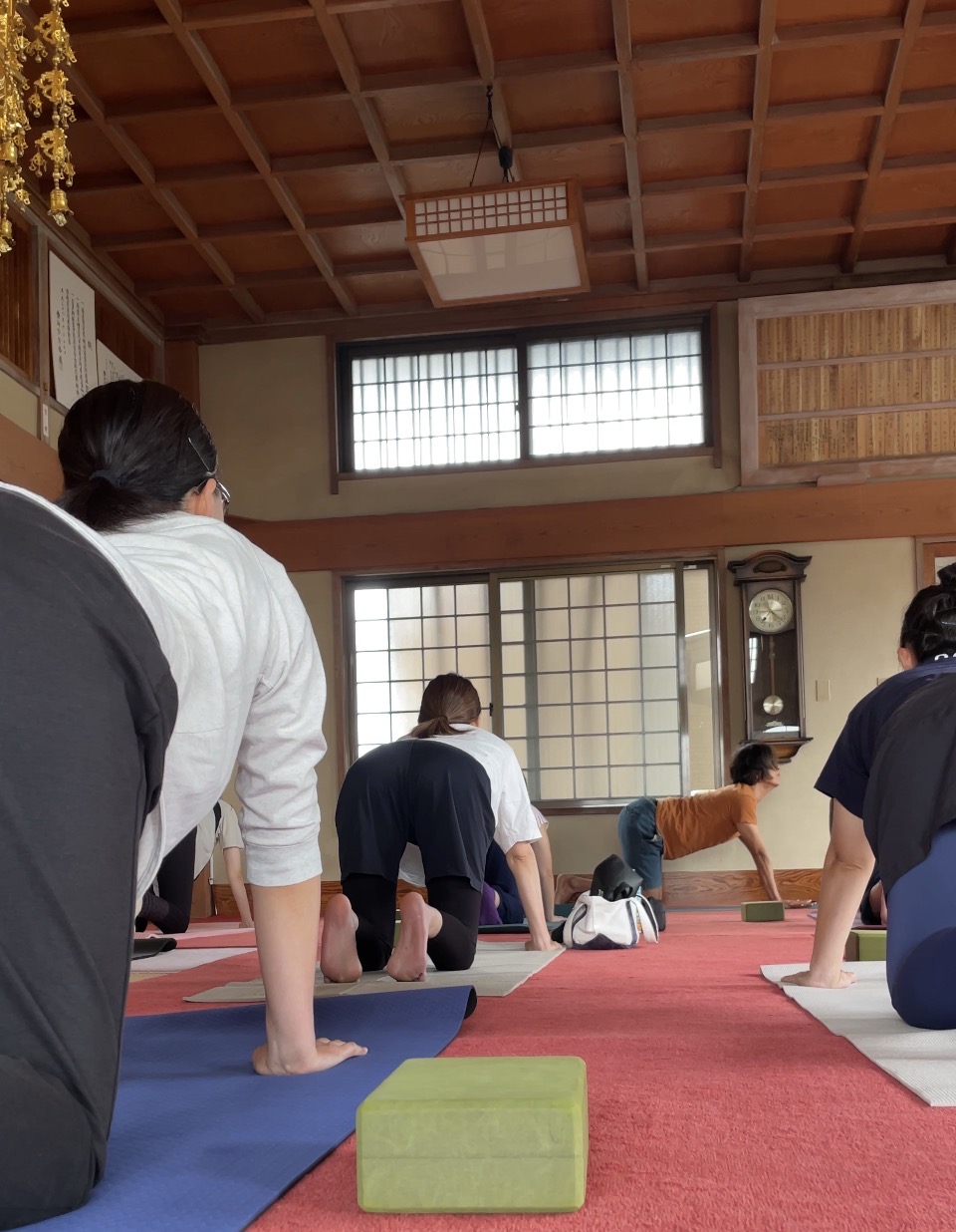 マジャラーサナ(猫のポーズ)で背骨を動かし肩こり改善を目指すヨガレッスン